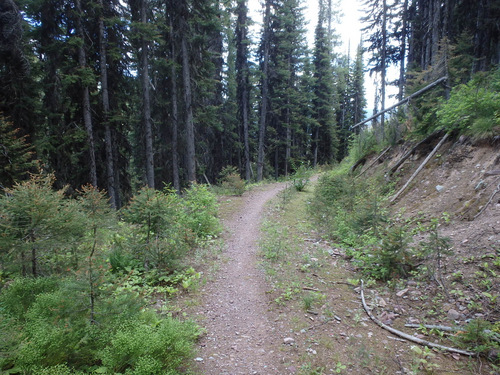 GDMBR: Once an old logging or mining road.